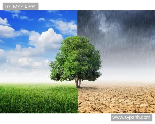 亚马尔地区能源开发与全球气候变化的互动影响研究