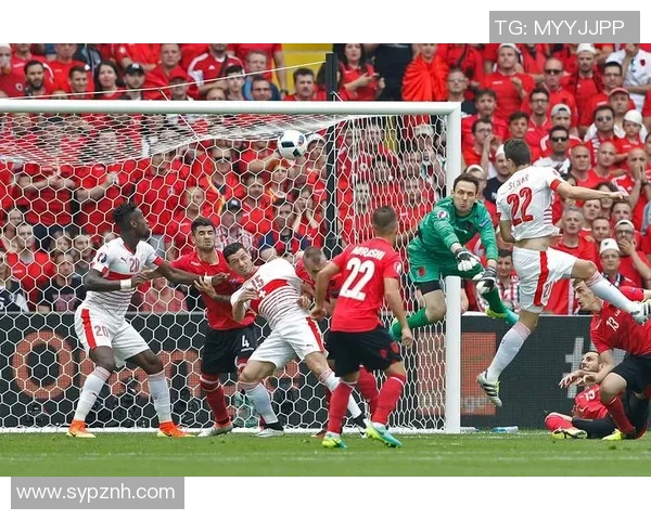 阿森纳迎战塞尔维亚激情对决球迷期待精彩赛事盛宴